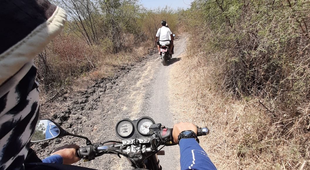 Salah satu sudut jalan di kawasan Resort Watunumpuk, Kecamatan Banyuputih, Taman Nasional Baluran, Situbondo.