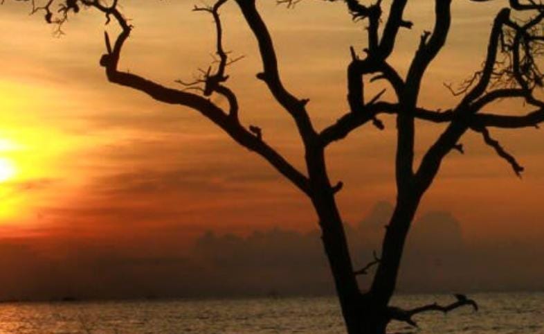 View Pantai Tambak Sari/ doc Khoirul Rizal
