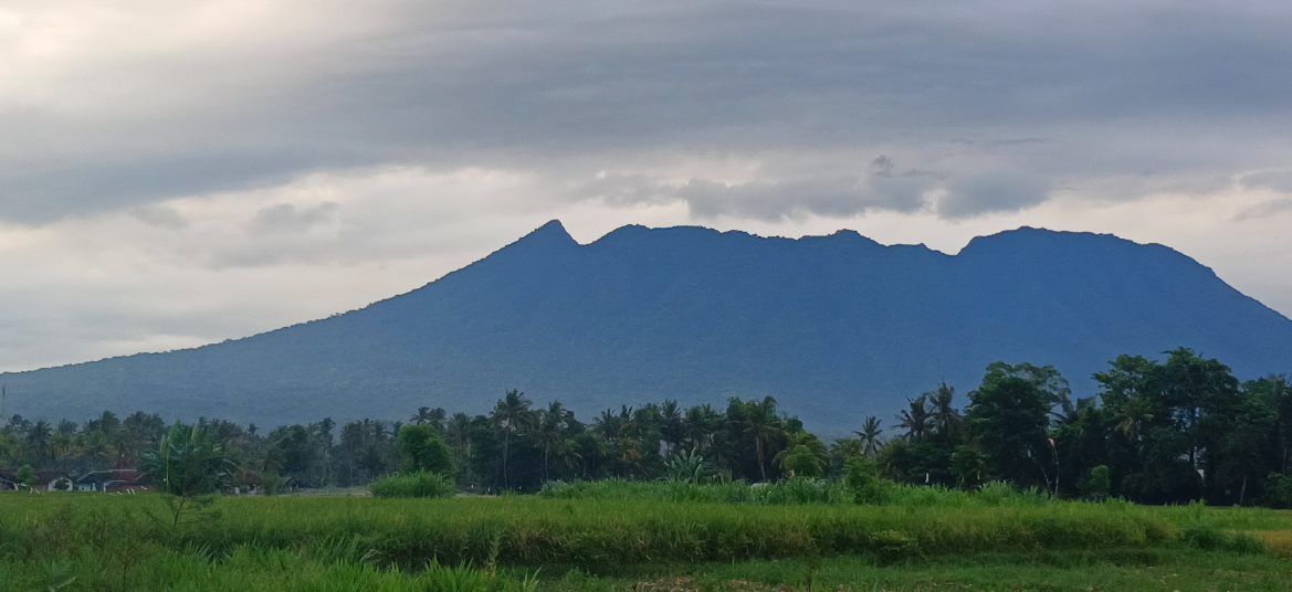 Gunung Baluran di Kabupaten Situbondo, Jawa Timur.