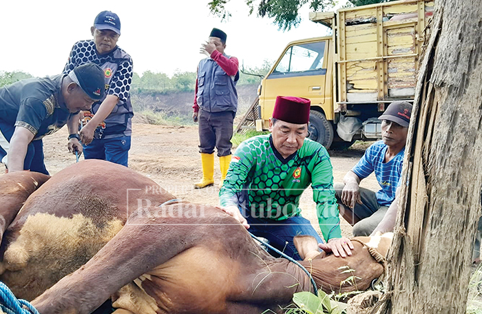 KHUSYUK BERDOA: H. Ahmad Mujiono berdoa sebelum penyembelihan sapi kurban di lokasi tambang CV Lintang Timur Jaya, Dusun Curah Saleh, Desa Seletreng, Kecamatan Kapongan, Kemarin (8/6).