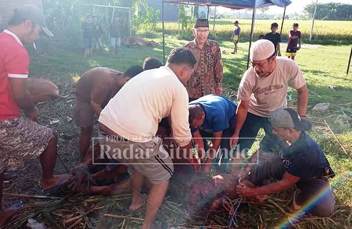 BERBAGI : Dewan Pembina LDII Kabupaten Situbondo, Agus Triono, melakukan pemotongan hewan kurban di halaman Masjid Nurul Haq, Jalan Anggrek Gg X Patokan Situbondo, Jumat (6/6) lalu.
