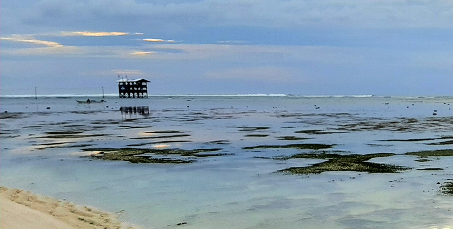 Pantai Plengkung (G-Land) di Taman NAsional Alas Purwo Banyuwangi akan mudah dijangkau dengan jalan Tol Probowangi.