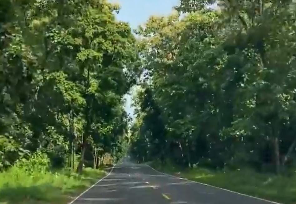 Kawasan jalan di Baluran/ doc Khoirul Rizal