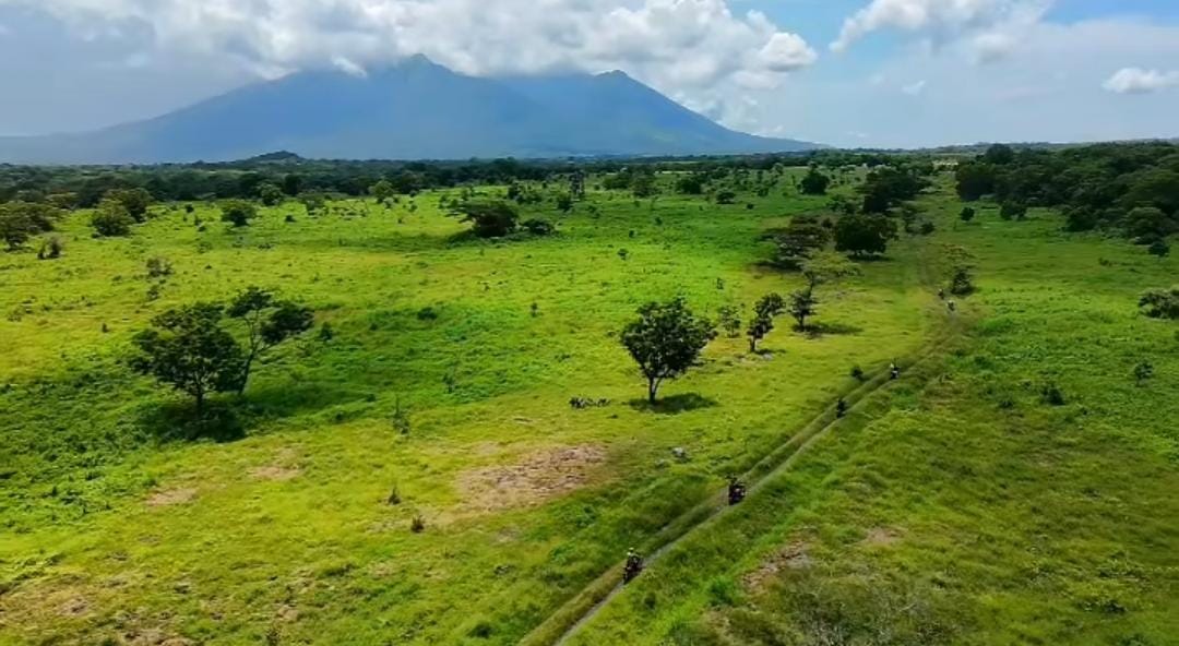 View TN Baluran/ ig @btn_baluran