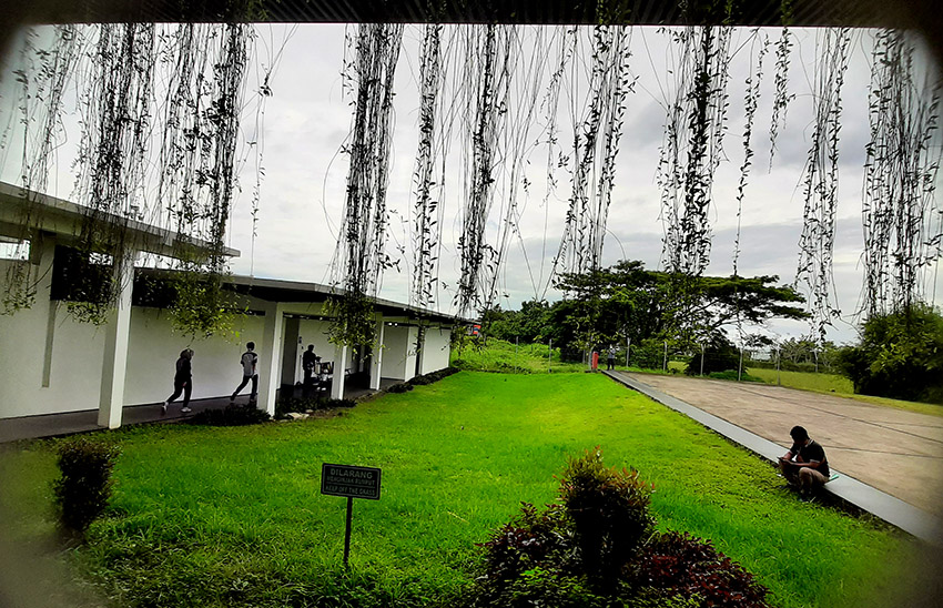 Kawasan timur area kedatangan Bandara Banyuwangi, bandara ini harus didukung jalan baru langsung nyambung Pelabuhan Ketapang.
