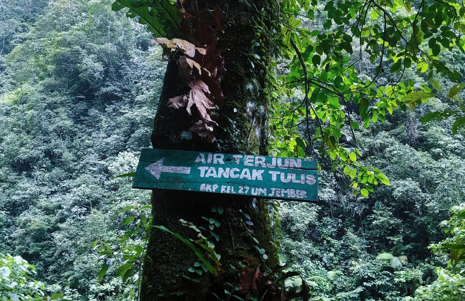 Papan penunjuk air terjun hits di Jember/