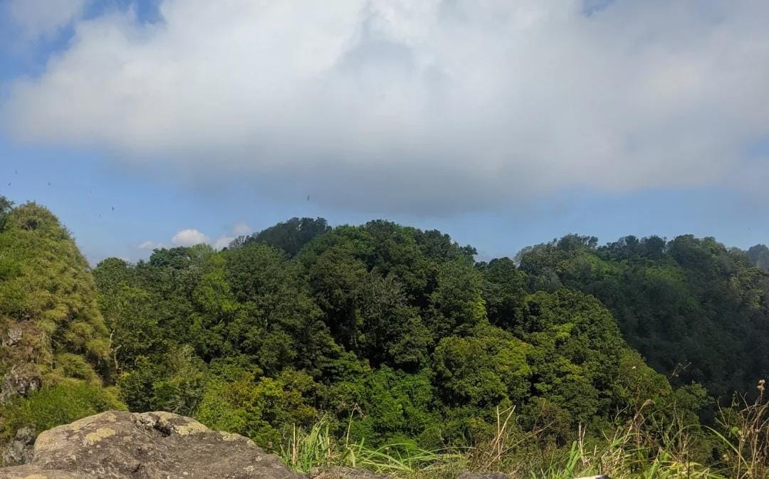 Puncak Gunung Ringgit/ doc Khoirul Rizal