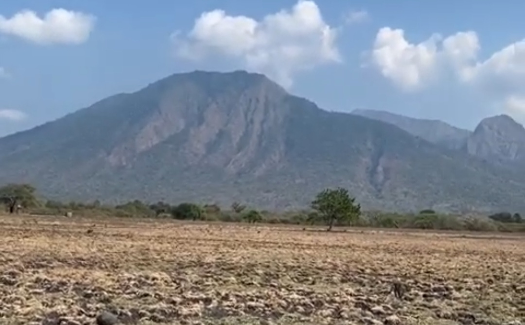 Kawasan wisata TN Baluran/ doc Khoirul Rizal