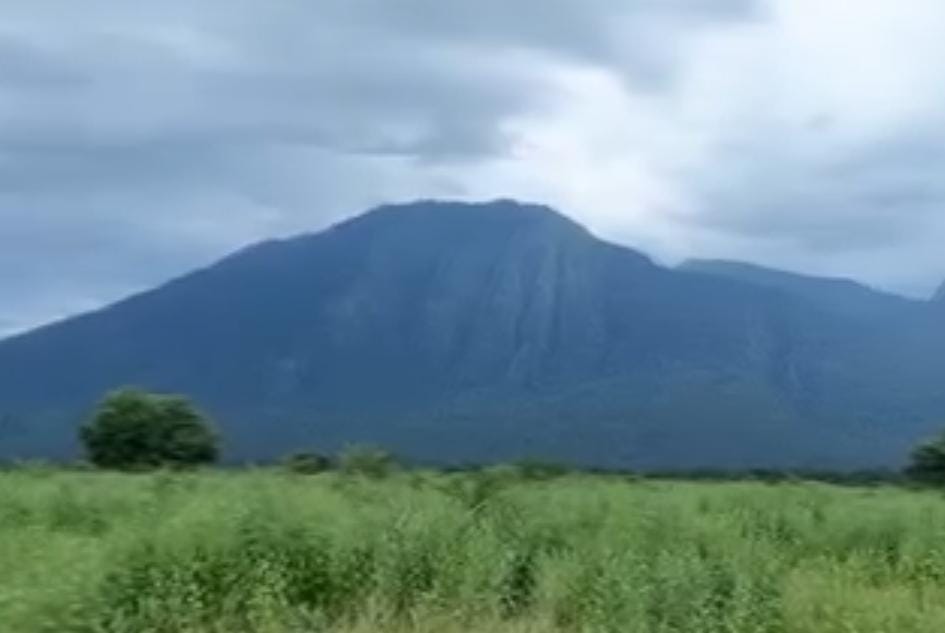 Kawasan TN Baluran di Situbondo/ doc Khoirul Rizal