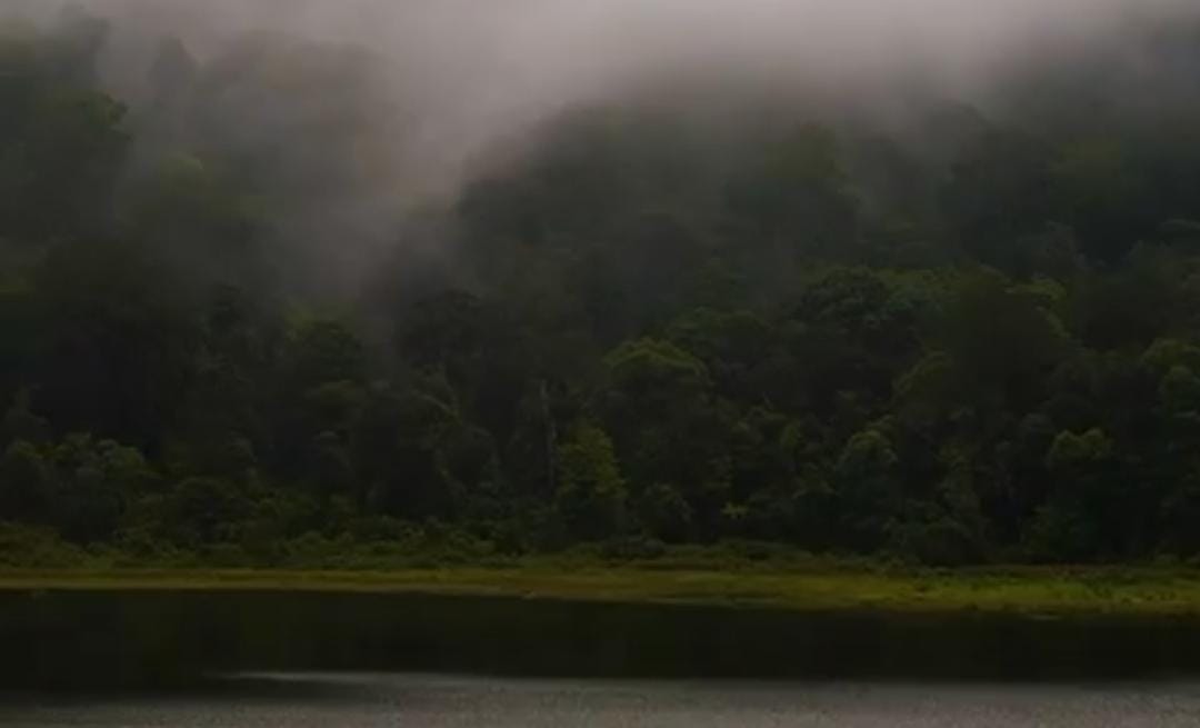 Kawasan Gunung Argopuro/ doc Khoirul Rizal