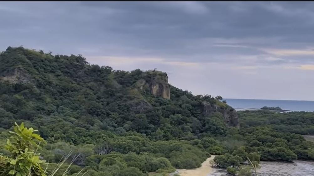 Kawasan TN Baluran Situbondo/