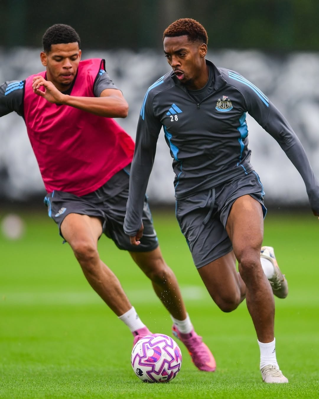 Sesi latihan Newcastle jelang laga menghadapi Liverpool di pekan kedua Premier League 2025-26.