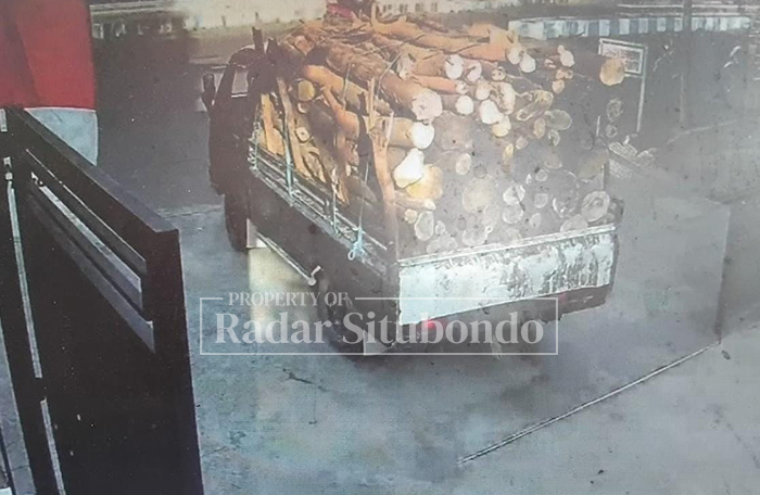 TERPANTAU CCTV: Pikap yang digunakan mengangkut kayu hasil menebang pohon di lingkungan SMAN 2 Situbondo.