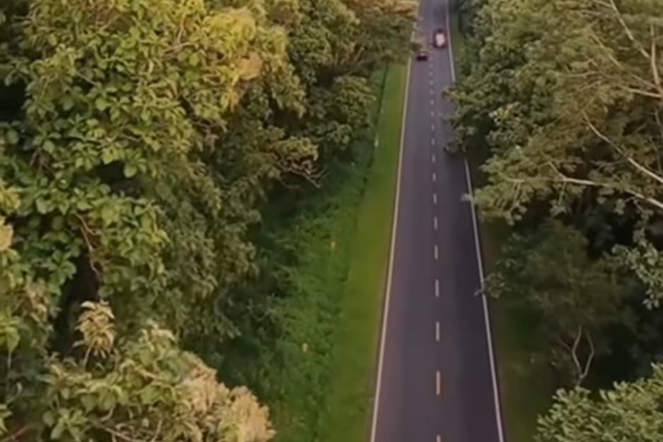 Pantura kawasan TN Baluran/