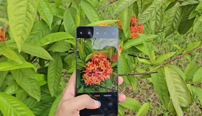Review kamera 50MP  Oppo A6 MAX.