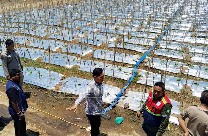 TINJAU TAMBANG: Forum Koordinasi Pimpinan Kecamatan (Forkopimcam) Kapongan meninjau lokasi tambang CV. Lintang Timur Baru Bersinar di Desa Seletreng, Kecamatan Kapongan, Kamis (2/10).