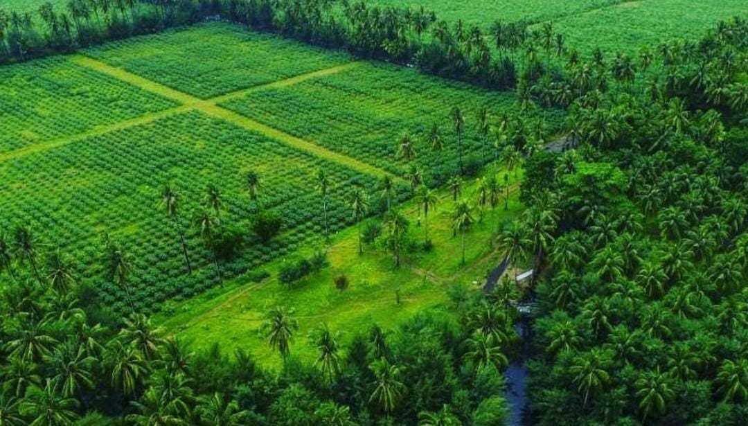 Kawasan Banongan/ ig @ekowisata_ba