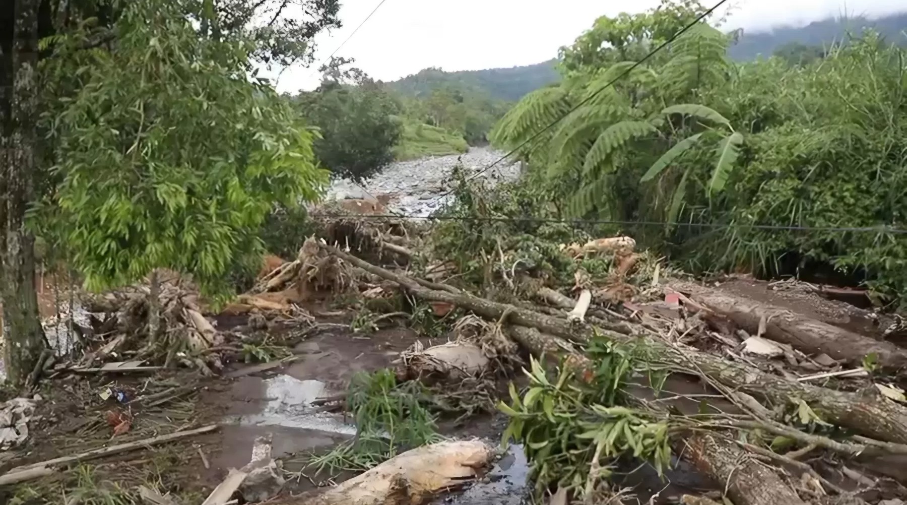 Bareskrim Polri akan investigasi ribuan gelondong kayu yang hanyut saat banjir bandang di Sumatera.