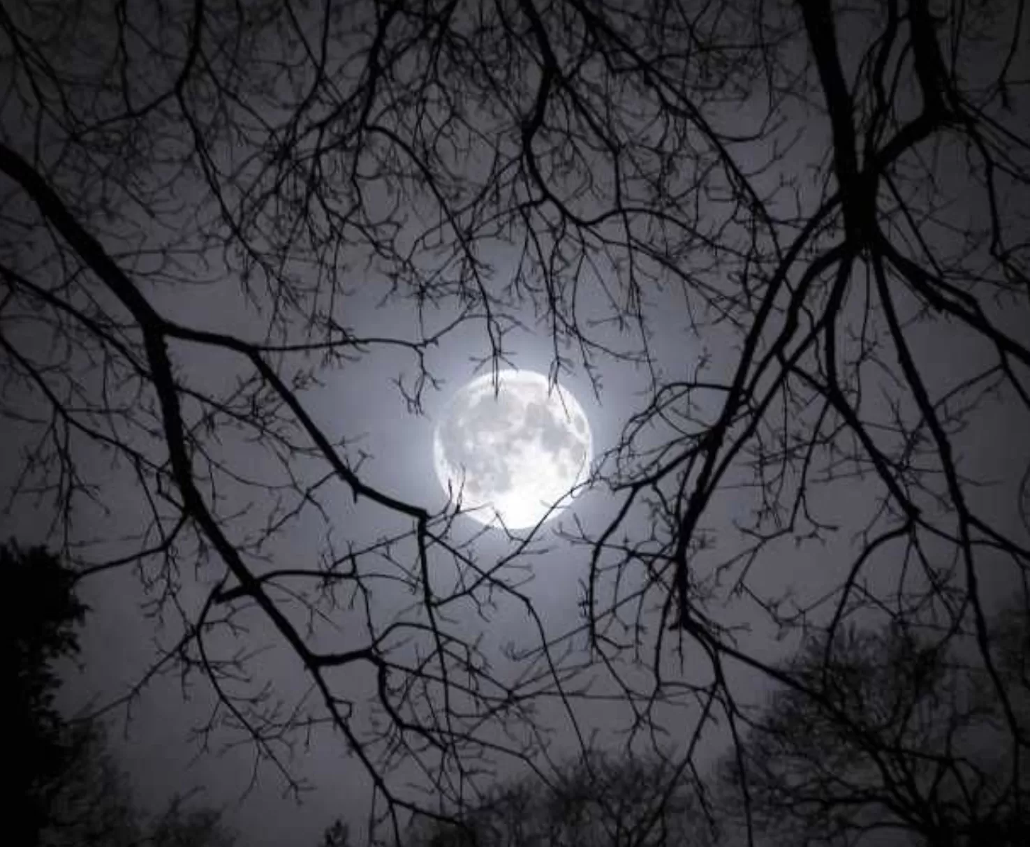 Ilustrasi fenomena cold moon.