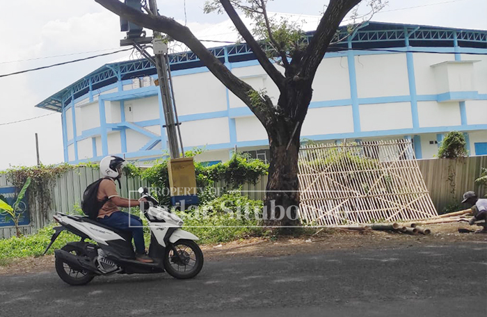 DITUMBUHI RUMPUT: Bangunan Gelora Situbondo (GS) hingga saat ini belum seratus persen rampung dikerjakan, sehingga belum dapat difungsikan.