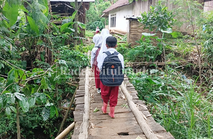 MENGEJAR CITA-CITA: Para siswa Sekolah Dasar Negeri (SDN) 7 Desa Kayumas melewati jembatan kayu yang sudah lapuk, Senin (16/2).
