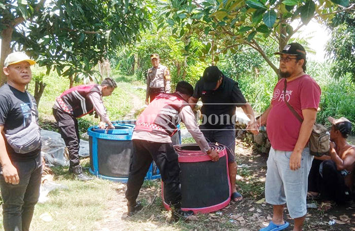 LOKASI ADUAN: Anggota Samapta Polres Situbondo mengamankan barang bukti sabung ayam di wilayah Kecamatan Panarukan, Minggu lalu (15/2).