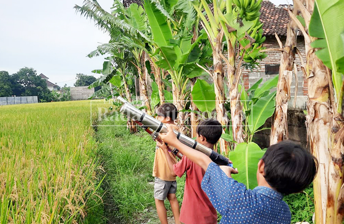 BERMAIN: Anak-anak memegang meriam spiritus atau selodong di area persawahan Kelurahan Dawuhan, Kecamatan Situbondo, Rabu (17/2).