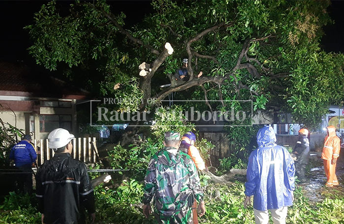 TUTUP JALAN: Petugas Badan Penanggulangan Bencana Daerah (BPBD) Situbondo tengah mengevakuasi pohon tumbang yang menutup badan jalan akibat cuaca ekstrem, Sabtu (22/2) malam. 
