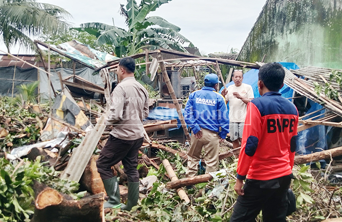 BENCANA ALAM: Anggota BPBD Situbondo meninjau lokasi rumah roboh  di Desa Balung, Kecamatan Kendit, Selasa (24/2). 
