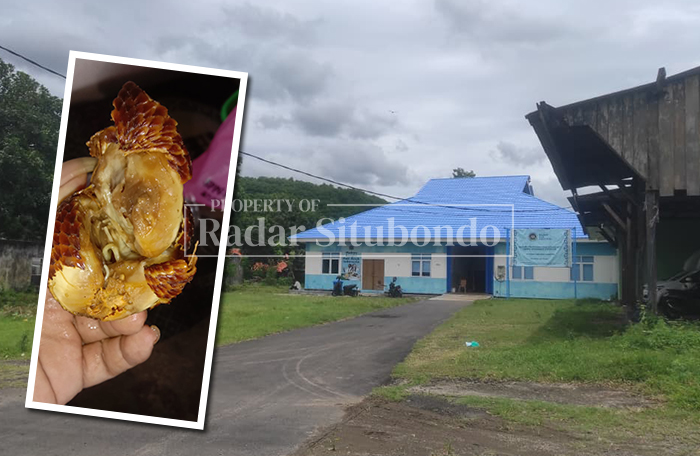 BUAH BUSUK: Salah satu menu Makan Bergizi Gratis (MBG) dari Satuan Pelayanan Pemenuhan Gizi (SPPG) 514 Kotakan, Kecamatan Situbondo, diprotes karena buahnya busuk dan tidak bisa dikonsumsi, Kamis (26)