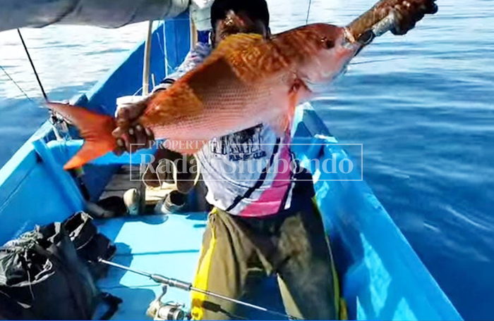 HIBURAN: Seorang warga menunjukkkan ikan hasil pancingannya di Kawasan Pantai Baluran, Kecamatan Banyuputih, belum lama ini. 