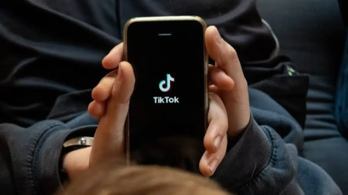 Platform media sosial TikTok. (ZDNet).