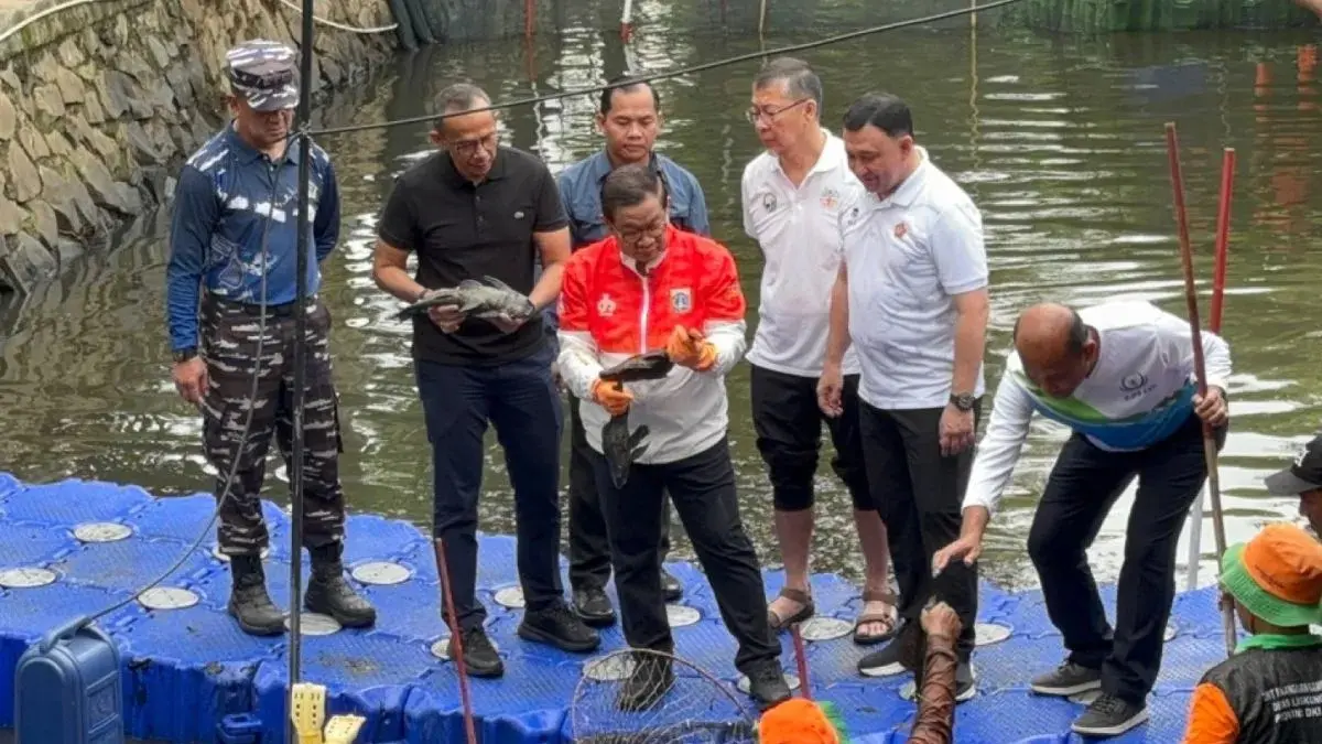 Gubernur DKI Jakarta Pramono Anung Wibowo meninjau penangkapan ikan sapu-sapu di kawasam Kelapa Gading, Jakarta Utara, Jumat (17/4/2026). (ANTARA)