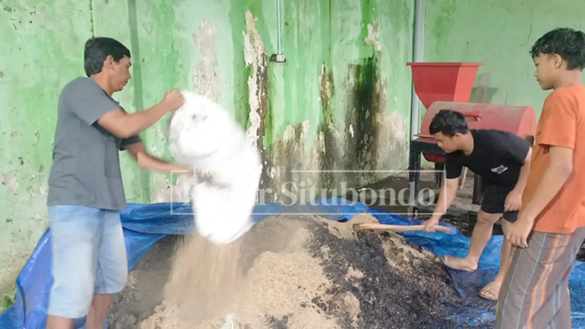 BERMANFAAT: Beberapa pengelola limbah dapur mengolah sampah menjadi produk bernilai guna, seperti pupuk cair dan padat untuk tanaman, juga bisa diperjualbelikan, di Desa Sumberkolak, Kecamatan Panarukan, Rabu (22/4). (Ahmad Rifa
