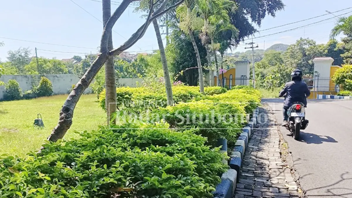 BELUM BISA DIPASTIKAN: Seorang pengendara melewati kawasan Ruang Terbuka Hijau (RTH) di area Dinas Pekerjaan Umum dan Perumahan Permukiman (PUPP) Situbondo, Jumat (8/5). (Ahmad Rifa