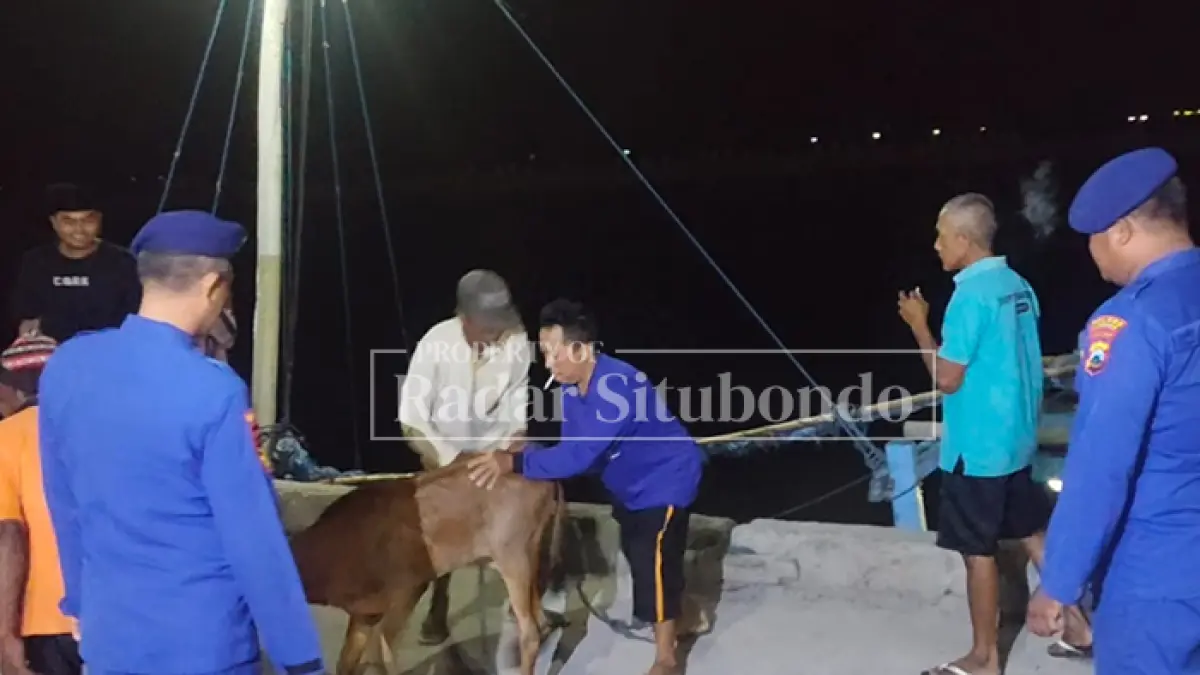 SIAP SIAGA: Anggota Satpolairud Polres Situbondo melakukan pengamanan pengiriman sapi di Pelabuhan Kalbut, Kecamatan Mangaran, Senin malam (18/5). (HUMAIDI/JPRS)
