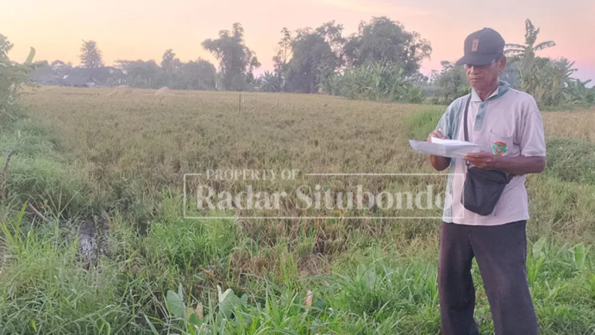 PEMILIK LAHAN: Diono, 54, warga Desa Ketis, Kecamatan Besuki, berdiri di pinggir lahan yang terkana pembebasan lahan tol Prosiwangi, belum lama ini. (HUMAIDI/JPRS)
