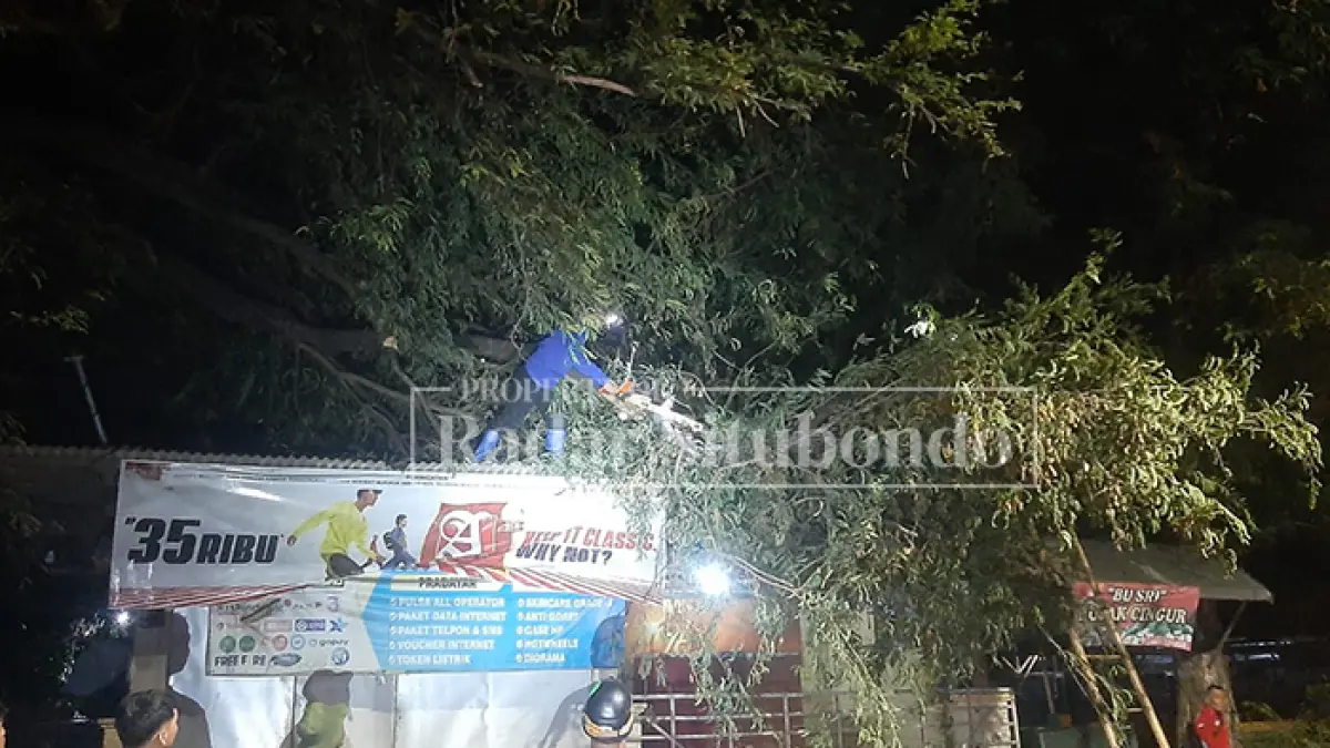 MENIMPA WARUNG: Petugas Badan Penanggulangan Bencana Daerah (BPBD) Situbondo melakukan evakuasi pohon tumbang yang menimpa atap warung milik warga di Dusun Talkandang Timur, Desa Talkandang, Kecamatan Situbondo, Minggu (24/5) malam. (Ahmad Rifa