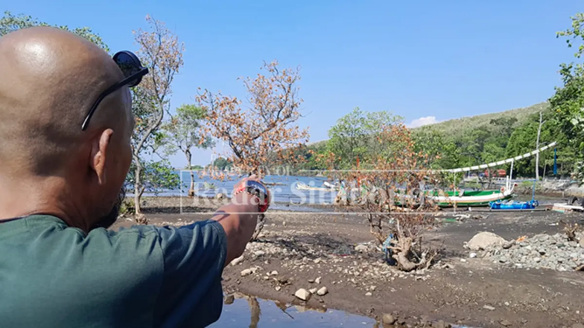RUSAK MANGROVE: Fauzan Mistari, aktivis peduli lingkungan menunjukkan empat pohon mangrove yang diduga dipindah oleh PT. Kaixin, di kawasan pesisir Dusun Pecaron, Desa Klatakan, Kecamatan Kendit, Senin lalu (15/6). (HUMAIDI/JPRS)
