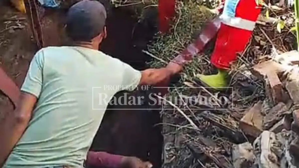 DRAMATIS: Petugas Pemadam Kebakaran (Damkar) Situbondo bersama warga Desa Sumberkolak, Kecamatan Panarukan mengevakuasi seekor sapi yang terperosok ke dalam tempat pembuangan kotoran, Senin (6/7) sore. (Ahmad Rifa