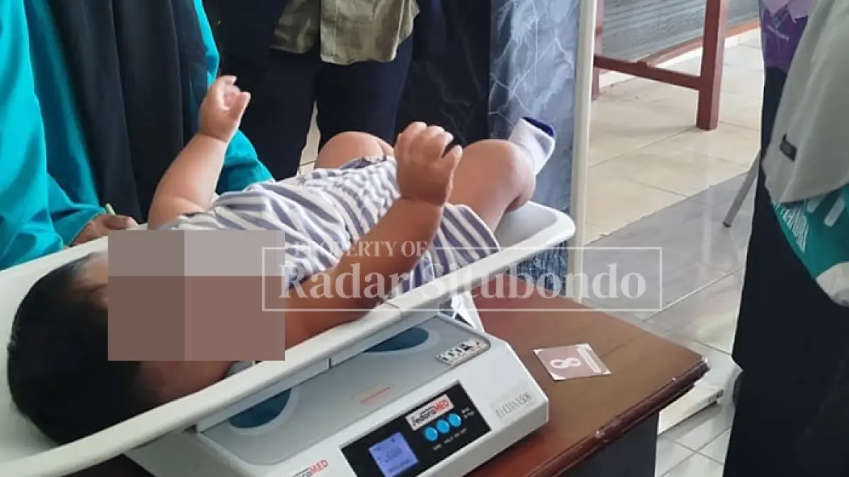 PEMERIKSAAN: Seorang bayi ditimbang oleh petugas Puskesmas Kecamatan Arjasa bersama sejumlah kader Posyandu di wilayah setempat, beberapa waktu lalu. (Ahmad Rifa