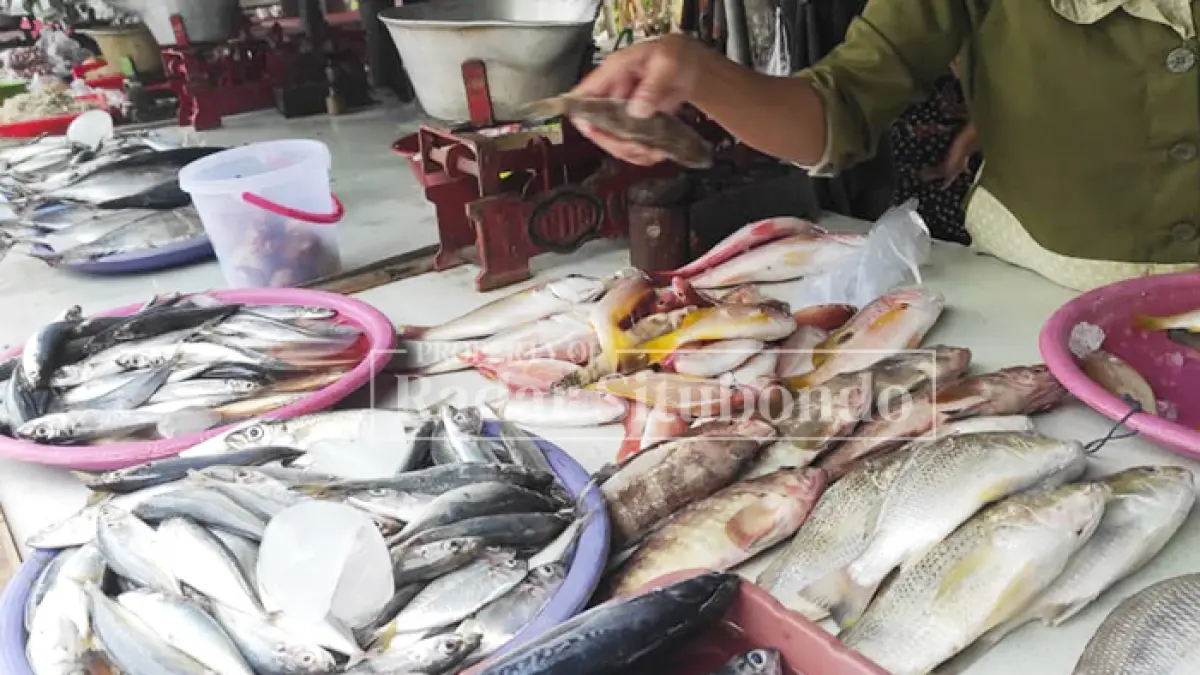 TIDAK MELAUT: Sejumlah perahu milik nelayan terparkir di tepi pantai akibat tidak bisa melaut karena cuaca extrem, Pelabuhan Kalbut, kecamatan Mangaran Situbondo, minggu (2/8). (Ahmad Rifa’ie/JPRS)
