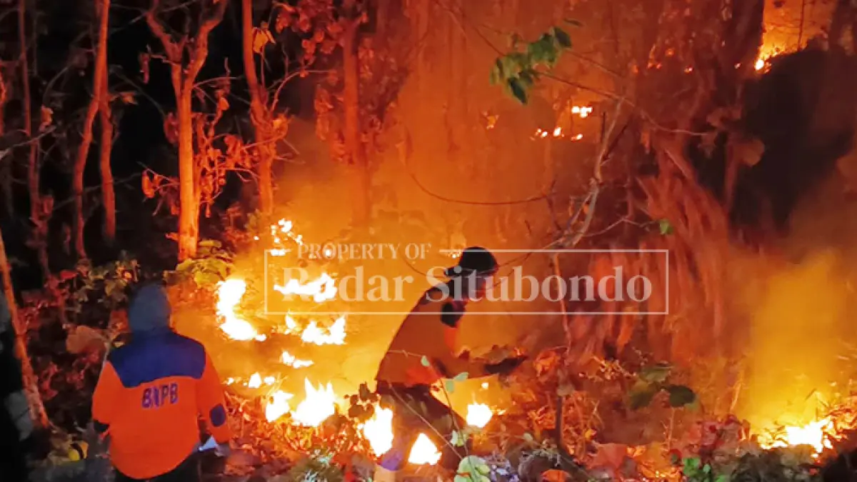DAMPAK MUSIM KEMARAU: Kebakaran hutan dan lahan (karhutla) di kawasan hutan jati melahap lebih dari empat hektare lahan di Desa Gunung Malang, Kecamatan Suboh, pada Minggu (2/8) malam. (Ahmad Rifa