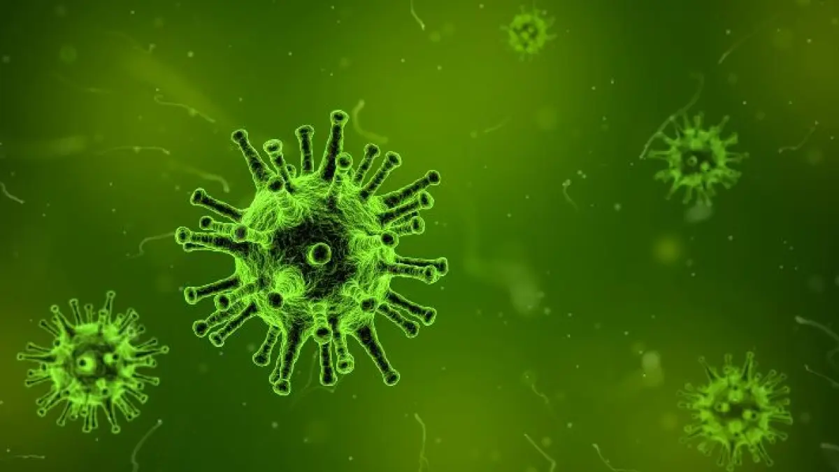 VIRUS : Wabah Ebola di Kongo mengkhawatirkan WHO beri peringatan keras.(Foto:Pixabay)