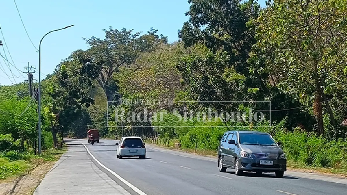 BELUM DIPERBAIKI: Suasana lampu Penerangan Jalan Umum (PJU) di Jalan Pantai Utara (Pantura), tepatnya di ruas Desa Pasir Putih, Kecamatan Bungatan, hingga Desa Klatakan, Kecamatan Kendit, sudah lama tidak menyala, Minggu (16/8). (Ahmad Rifa