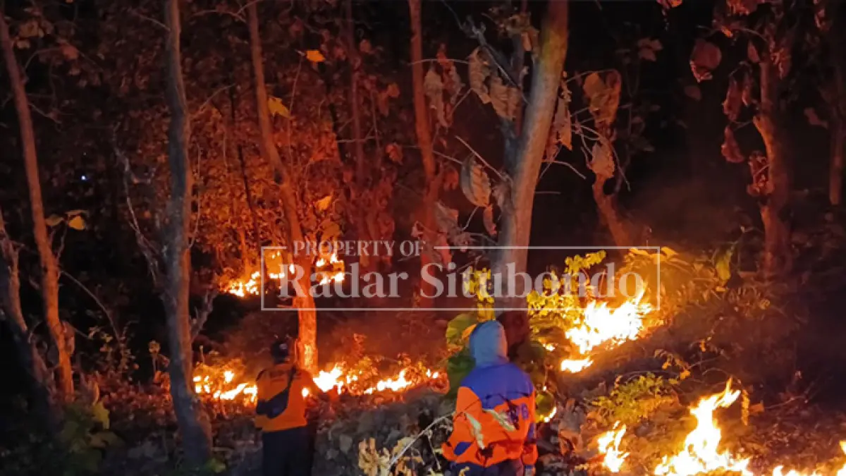DAMPAK MUSIM KEMARAU: Kebakaran hutan dan lahan (karhutla) di kawasan hutan jati di Desa Gunung Malang, Kecamatan Suboh, minggu (2/8) lalu. (Ahmad Rifa