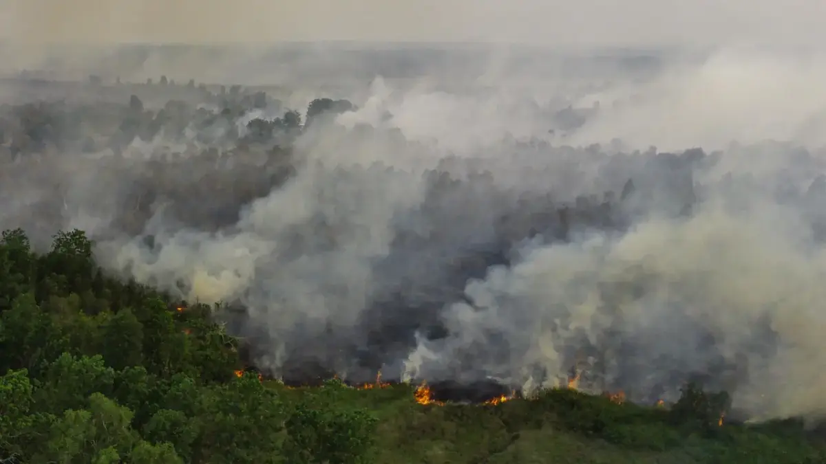 Foto udara menunjukkan kebakaran hutan dan lahan yang menyebar di Ogan Ilir, Sumatra Selatan, pada 14 September 2023. (Al ZULKIFLI/AFP)