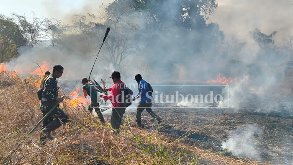 PADAMKAN API: Tim pemadam Kebakaran Taman Nasional Baluran memadamkan api di tengah hutan Taman Nasional Baluran, Kecamatan Banyuputih, Rabu (26/8). (HUMAIDI/JPRS)
