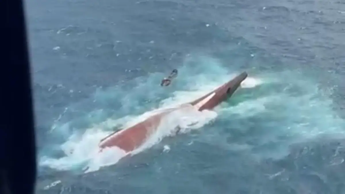 Potret udara Kapal Virgo Transport 8 yang terbalik usai hilang kontak di Laut Jawa. (Foto: Basarnas)