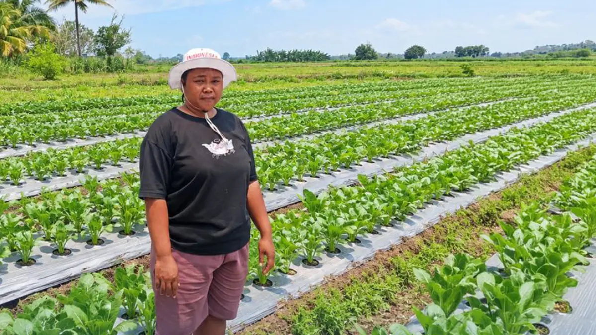 Holding Ultra Mikro Bawa Mur Dwi Astuti Sukses Jadi Petani di Merauke.